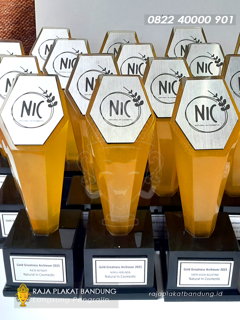 Piala NIC Resin