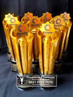 piala akuatik, piala resin, piala resin custom, piala resin premium, piala resin elegan, piala resin penghargaan, piala resin kejuaraan, piala resin eksklusif, piala resin unik, piala resin olahraga, piala resin modern, piala akuatik, piala kejuaraan akuatik, piala turnamen akuatik, piala olahraga akuatik, piala renang custom, piala akuatik custom, piala akuatik akrilik, piala akuatik resin, piala akuatik logam, piala penghargaan akuatik